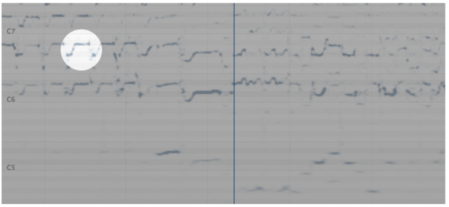 Bends shown in the spectrogram